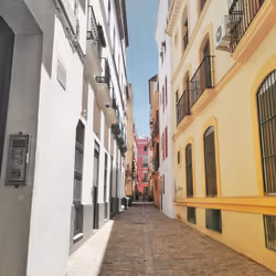 Calle Alcoiris (Bronze Edition) # 5000/6000