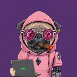 PUGS #0025