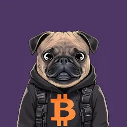 PUGS #0029