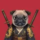 PUGS #0032