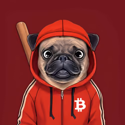 PUGS #0109