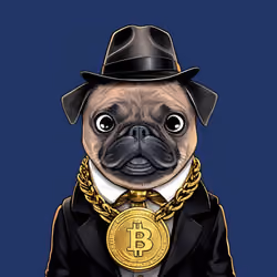 PUGS #0067