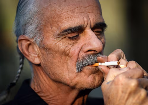 Item #80879840001451919384001045261058892020911433267621717443310830747649 Media