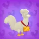 20k Gold Medal