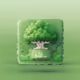 Green Citizenship Pass