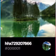 hhx729207866