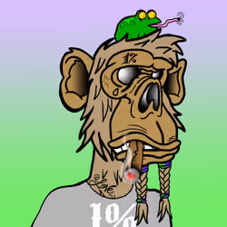 Medi Gang M.C. Ape #1315