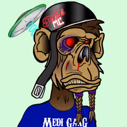 Medi Gang M.C. Ape #1340