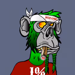 Item Media