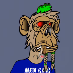 Medi Gang M.C. Ape #2722