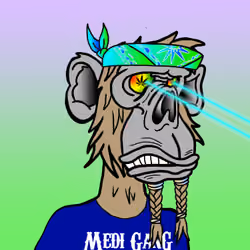 Medi Gang M.C. Ape #1454