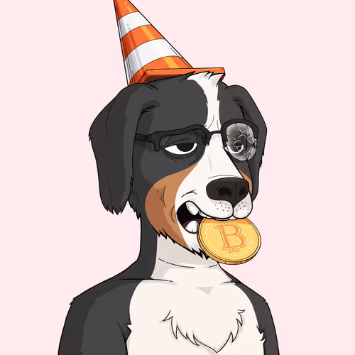 Rektdogs