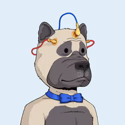 Rekt Dog #7564