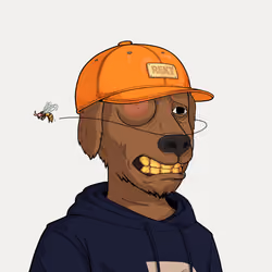 Rekt Dog #9623