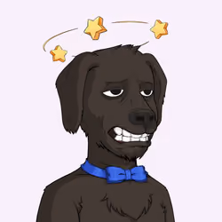 Rekt Dog #7010
