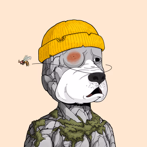 Rektdogs