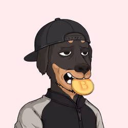Rekt Dog #6632