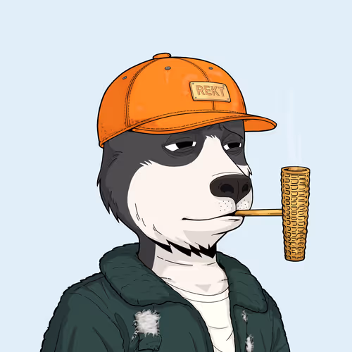 Rektdogs