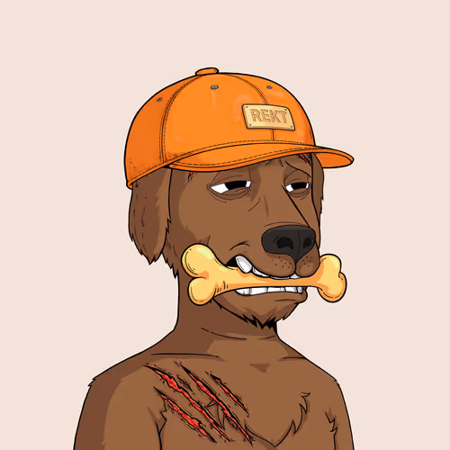 Rektdogs