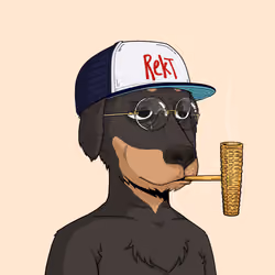 Rekt Dog #5992