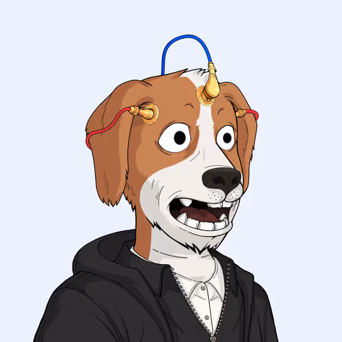 Rektdogs