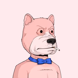 Rekt Dog #9844