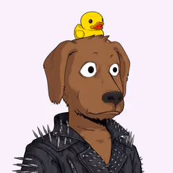 Rekt Dog #4344