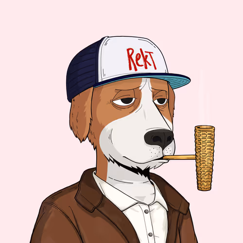 Rektdogs