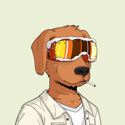 Rekt Dog #9672