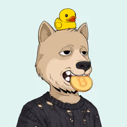 Rekt Dog #6589