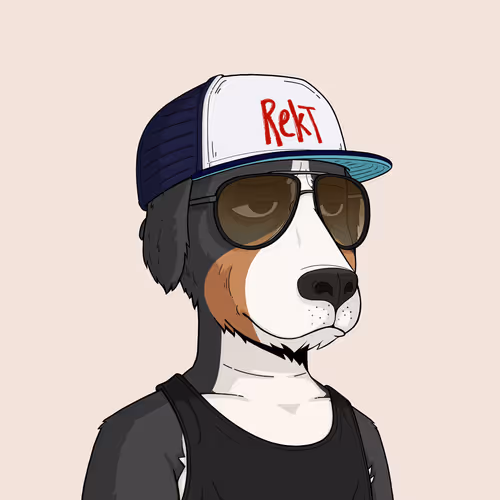 Rektdogs
