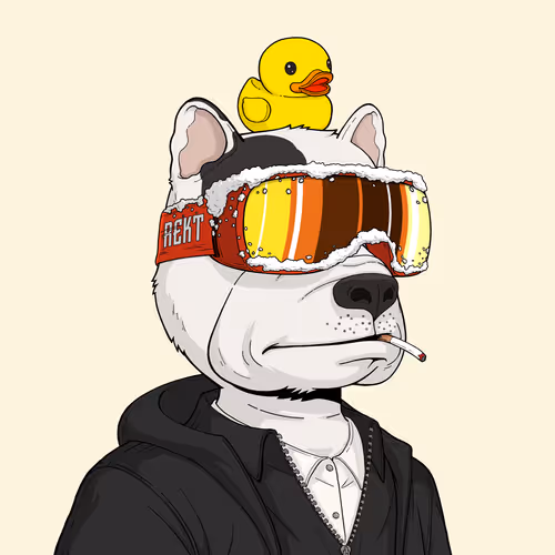 Rektdogs