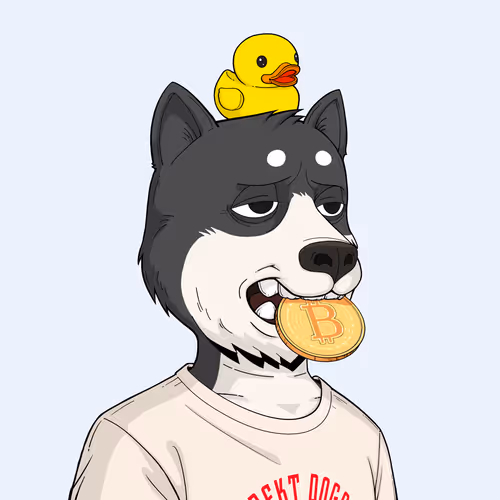 Rektdogs