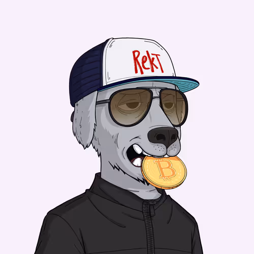 Rekt Dog #4834