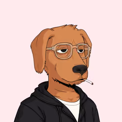 Rekt Dog #2005