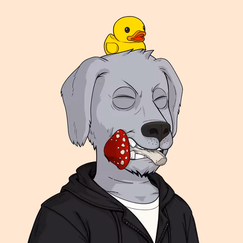 Rektdogs