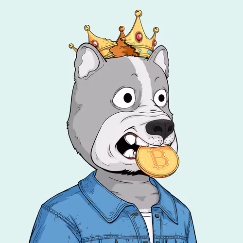Rektdogs
