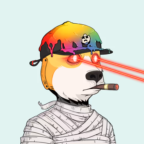 Rektdogs
