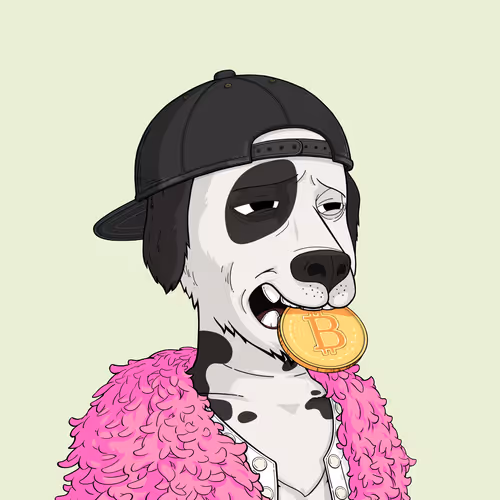 Rektdogs
