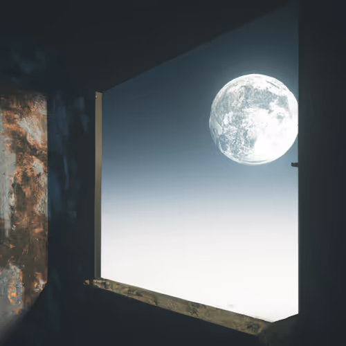 Item #11943487299278966732892966211987698574142708586454001549087459911334866452603 Media