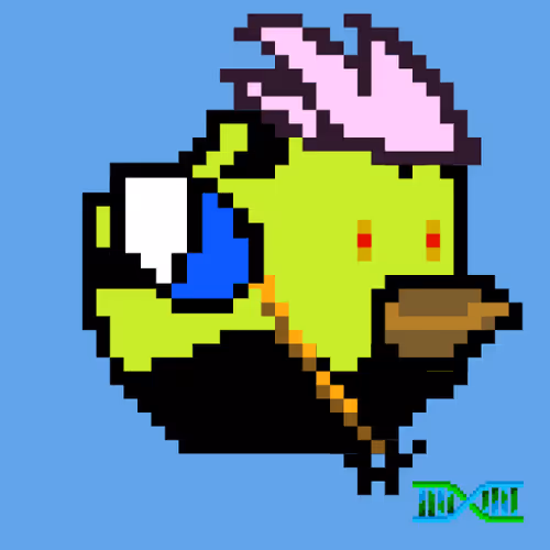 Fancybirds Genesis