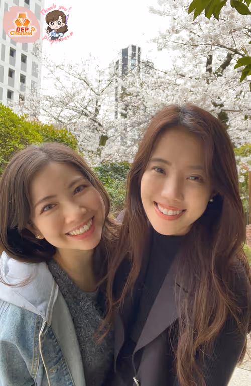 Item #335400008 Media