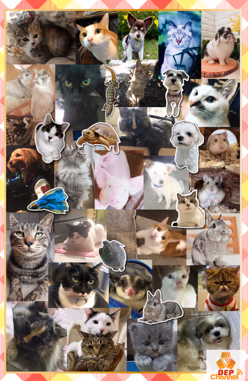 Item #321000055 Media