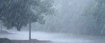Rain #0