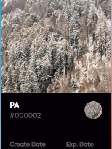 PA V2