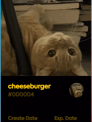 cheeseburger V2