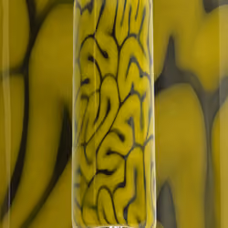 96247476719721429726630166126260952844570618141120447389087706755960101908718