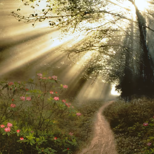 Post by @pms2000
