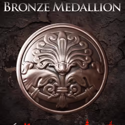 Bronze Medallion #144
