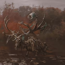Kelpie #11